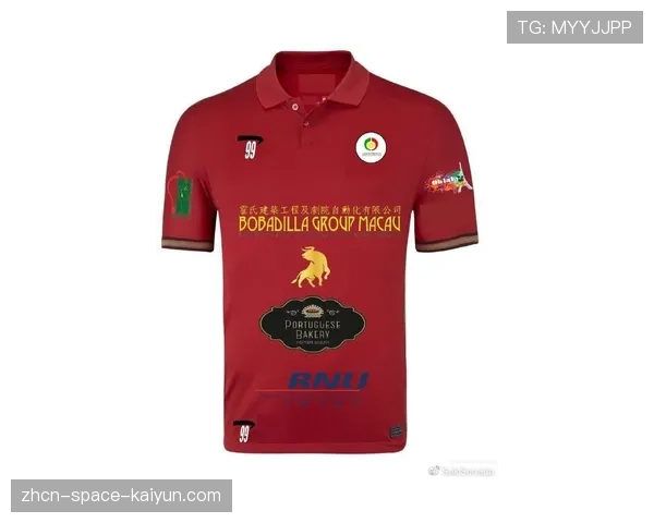 分析:球员球衣广告为NHL各队平均增收超800万美元 分析:球员球衣广告为NHL各队平均增收超800万美元